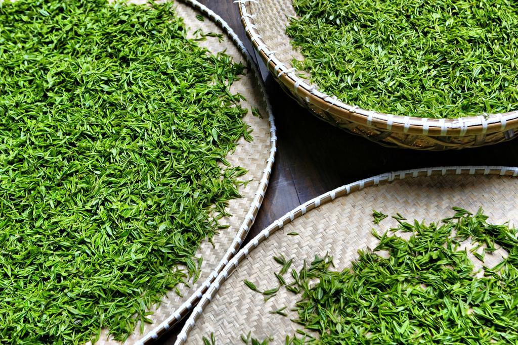 Landison Longjing Resort Ханджоу Екстериор снимка