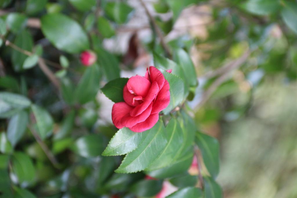 Landison Longjing Resort Ханджоу Екстериор снимка